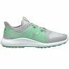 Other NEW Mens Puma LE Ignite Fasten8 First Mile Golf Shoes High Rise/Green Sz 8 M